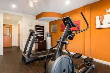 هتل Comfort Suites Tampa Airport North