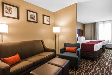 هتل Comfort Suites Tampa Airport North