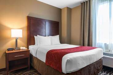 هتل Comfort Suites Tampa Airport North