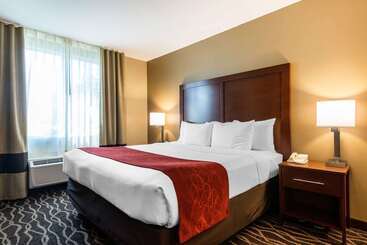 هتل Comfort Suites Tampa Airport North