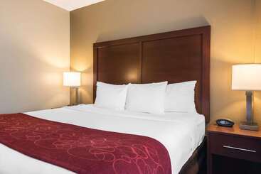 هتل Comfort Suites Tampa Airport North