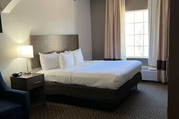 هتل Comfort Suites Texarkana Texas