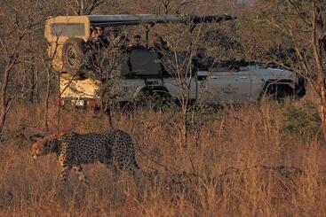 هتل Hamiltons Tented Camp