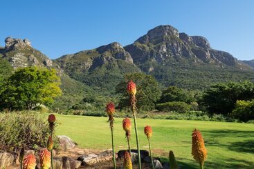 هتل Holiday Inn Express Cape Town City Centre, An Ihg