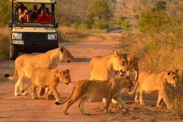 هتل Hoyo Hoyo Safari Lodge