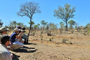 هتل Hoyo Hoyo Safari Lodge