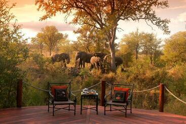 هتل Hoyo Hoyo Safari Lodge