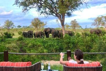 هتل Hoyo Hoyo Safari Lodge