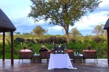 هتل Hoyo Hoyo Safari Lodge