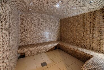 Otel NH Lyon Airport