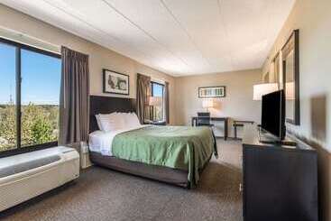 Hotel Quality Inn