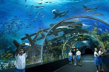 هتل Resorts World Sentosa