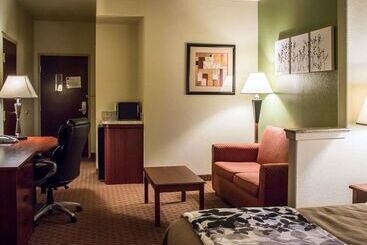هتل Sleep Inn & Suites At Six Flags