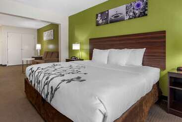 هتل Sleep Inn & Suites