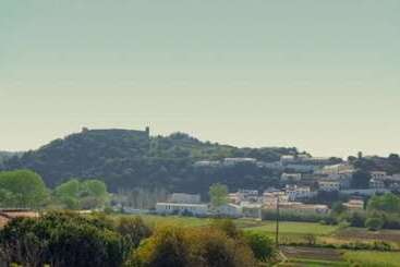Vicentina