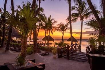 Beachfront Hotel La Palapa   Adults Only