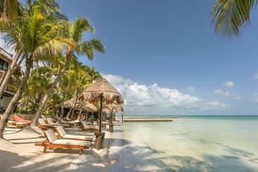 Beachfront Hotel La Palapa   Adults Only