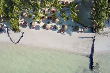 Beachfront Hotel La Palapa   Adults Only