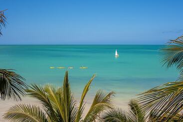 Beachfront Hotel La Palapa   Adults Only
