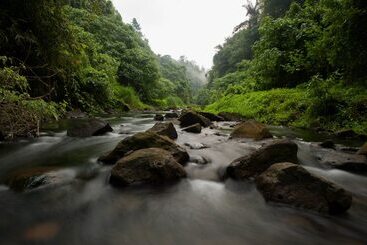 Beji Ubud Resort