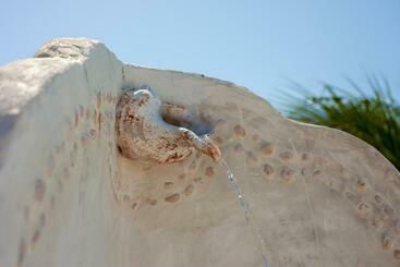 Beachfront Hotel La Palapa   Adults Only