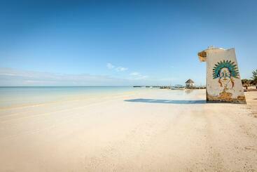 Beachfront Hotel La Palapa   Adults Only
