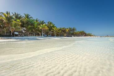 Beachfront Hotel La Palapa   Adults Only