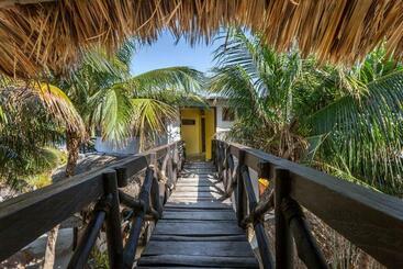 Beachfront Hotel La Palapa   Adults Only