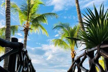 Beachfront Hotel La Palapa   Adults Only