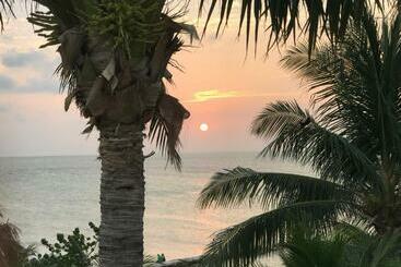 Beachfront Hotel La Palapa   Adults Only