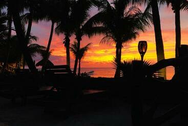 Beachfront Hotel La Palapa   Adults Only