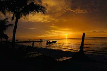 Beachfront Hotel La Palapa   Adults Only