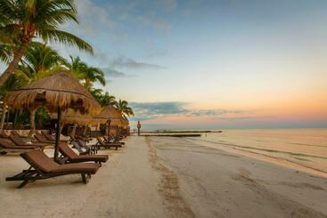 Beachfront Hotel La Palapa   Adults Only