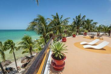 Beachfront Hotel La Palapa   Adults Only