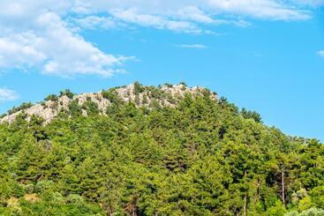 هتل Lido Thassos