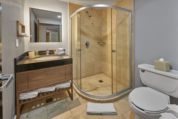 هتل Wyndham Garden Mexico City Polanco