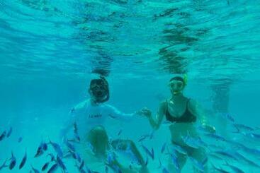 پانسیون Manta Stay Thoddoo, Maldives