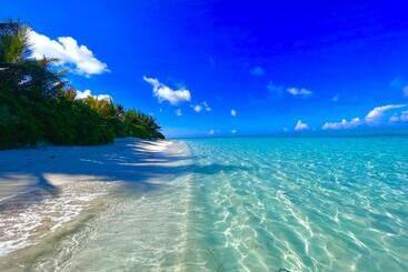 پانسیون Manta Stay Thoddoo, Maldives