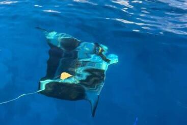 پانسیون Manta Stay Thoddoo, Maldives