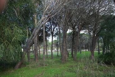 تختخواب و صبحانه Locanda Farorientale