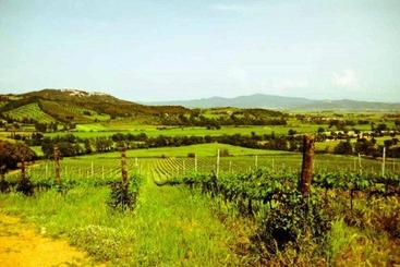 هتل Montebelli Agriturismo & Country