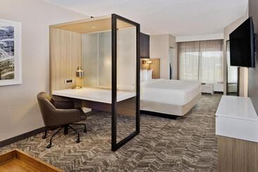 ホテル Springhill Suites Birmingham Colonnade