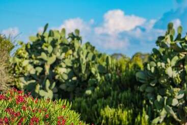 Borgobianco Resort & Spa – Mgallery Hotel Collection