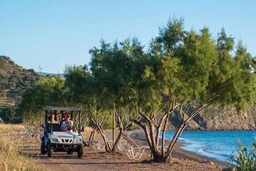 Delfinia Hotel & Bungalows