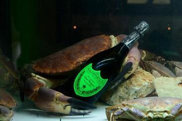 هتل Il Cecchini