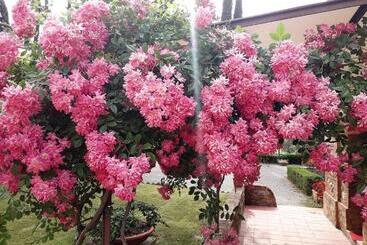 هتل Villa Curina Resort