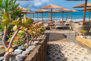 Tylissos Beach Hotel   Adults Only