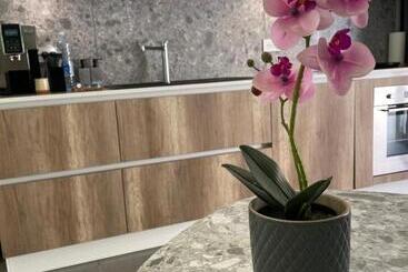 تختخواب و صبحانه Tropicana Suite   Adults Only
