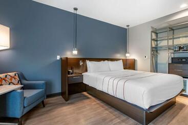 Vīb Hotel By Best Western Phoenix   Tempe