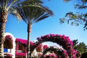 هتل Tui Magic Life Kalawy
